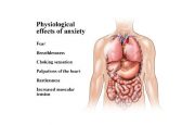 Physiological Effects of Anxiety