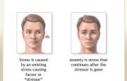 Stress and Anxiety