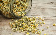 Herbs for Anxiety