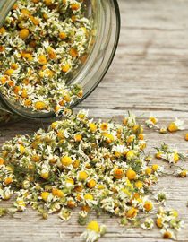 Herbs for Anxiety Herbs for Anxiety
