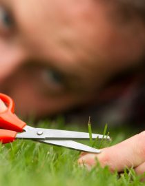 The Trouble With Being a Perfectionist The Trouble With Being a Perfectionist